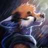 Shadow_Akita