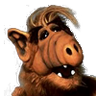 Bernie