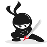 1ninjabr