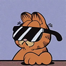 peti135