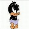 coduck