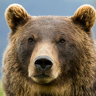 StadingBear