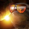 ThermalSloth