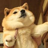 RandyMersh