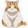 MrDhave
