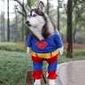 ShadowzTheHusky