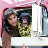 Road_Monkey