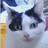 francisuk1989