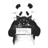 Bravatty_Br