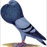 GeneralHanPu