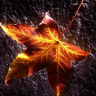 zahar078843