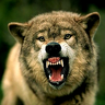 Agressor68rus
