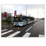 Ledragon8724