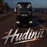 Hudinii