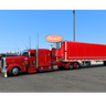 mantooth81