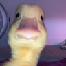 El_Saimon