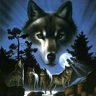 Silver85