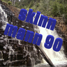 Skinndaamo