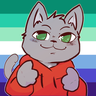 SteinCatboi