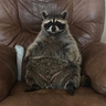 Mr_Ageres