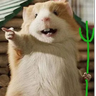 Demimax