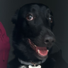 CurtisJackson