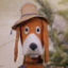 hector0501