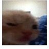 Snadzik
