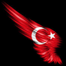 taylanali1905