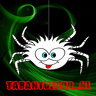 SalvoGamingNL