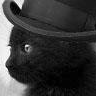 kitsy118