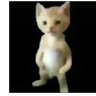 _gotex_
