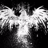 EagleGhost