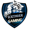 IceTiger22