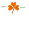 RobertVonJena