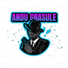 Dascalita_Andrei