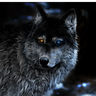 lobo555552