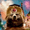 mr_bear007