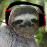 SlothGamer