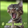 TerorrCz