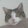 cl0secall