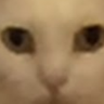 RunBot