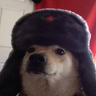 Mattsonni