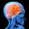 MindWork