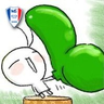 hanechoi