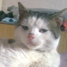 mourek