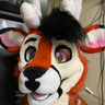 FoxyBingo93