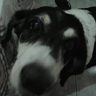 cesar5657