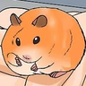 Jorikyoyo