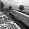 Zol986